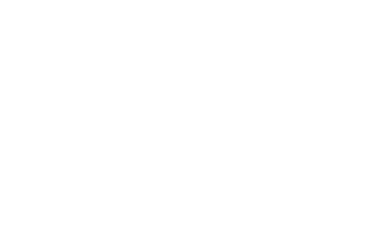 LDP_Socials-Logo-(white)